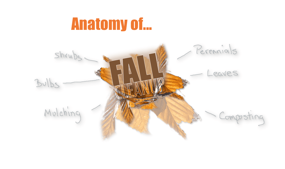 Fall Clean-up Garden Prep