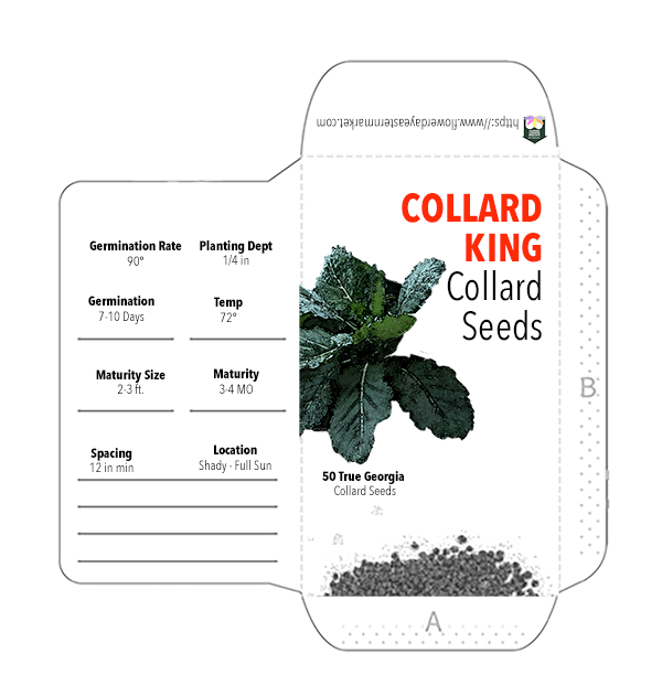 Collard King True Georgia Collard Seeds