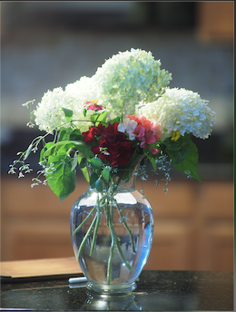 Cut flowers to buy at Eastern Market