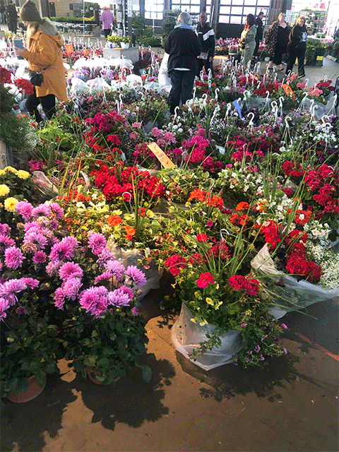 EASTERN MARKET FLOWER DAY 2023