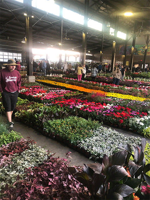 Detroit flower day Eastern Market 2023