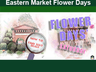 flower-day-saturday-find-best-deal