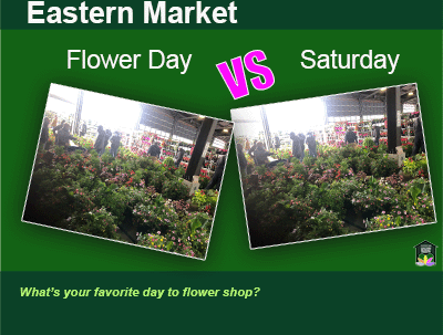 flower-day-saturday-find-best-deal