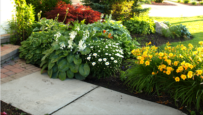 Spring Clean-up Garden Prep