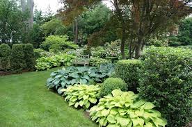 flowering garden plants