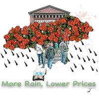 rainydayflowerdeals 